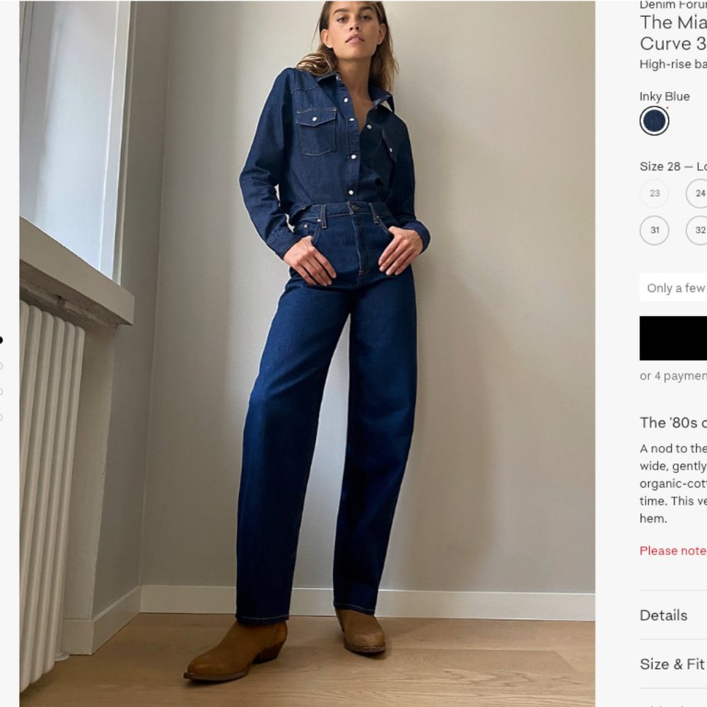 Aritzia The Denim Forum High Rise Balloon Jean 27